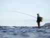 De bedste fiskestænger til forskellige typer fiskeri